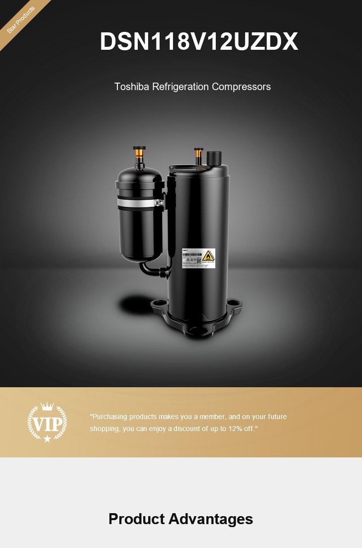 Toshiba Compressor DSN118V12UZDX, technical parameters pdf, structure diagram